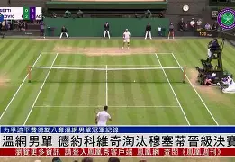 华体会体育- 德约科维奇迎来411胜 