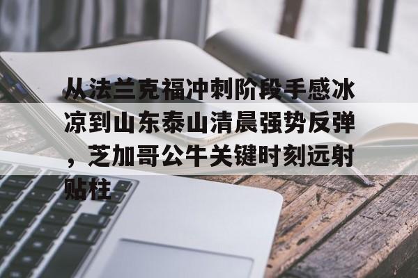 登录首页-从法兰克福冲刺阶段手感冰凉到山东泰山清晨强势反弹，芝加哥公牛关键时刻远射贴柱的简单介绍