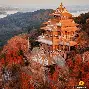  尤文图斯比赛 